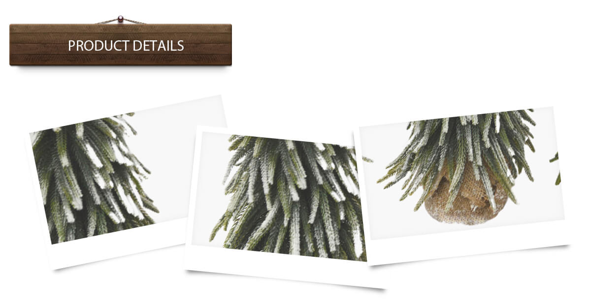 Рождественская елка Рождественская елка