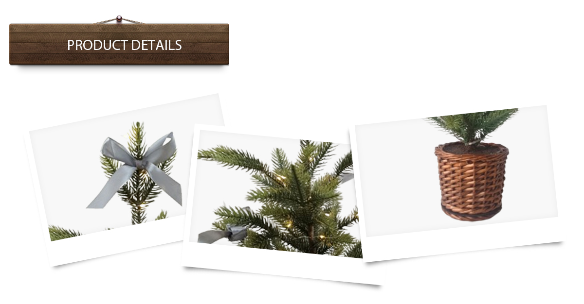 Рождественская елка Рождественская елка