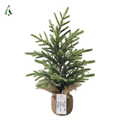 Árboles de Navidad en la puerta principal