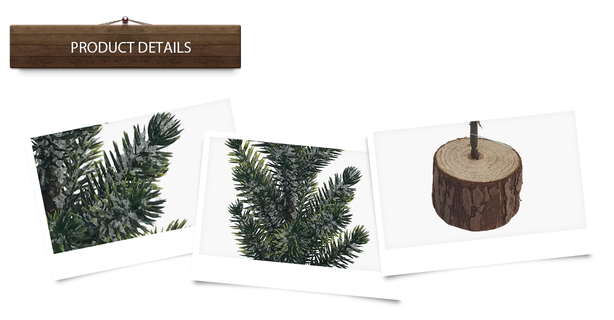 Arbres de Noël Arbres de Noël