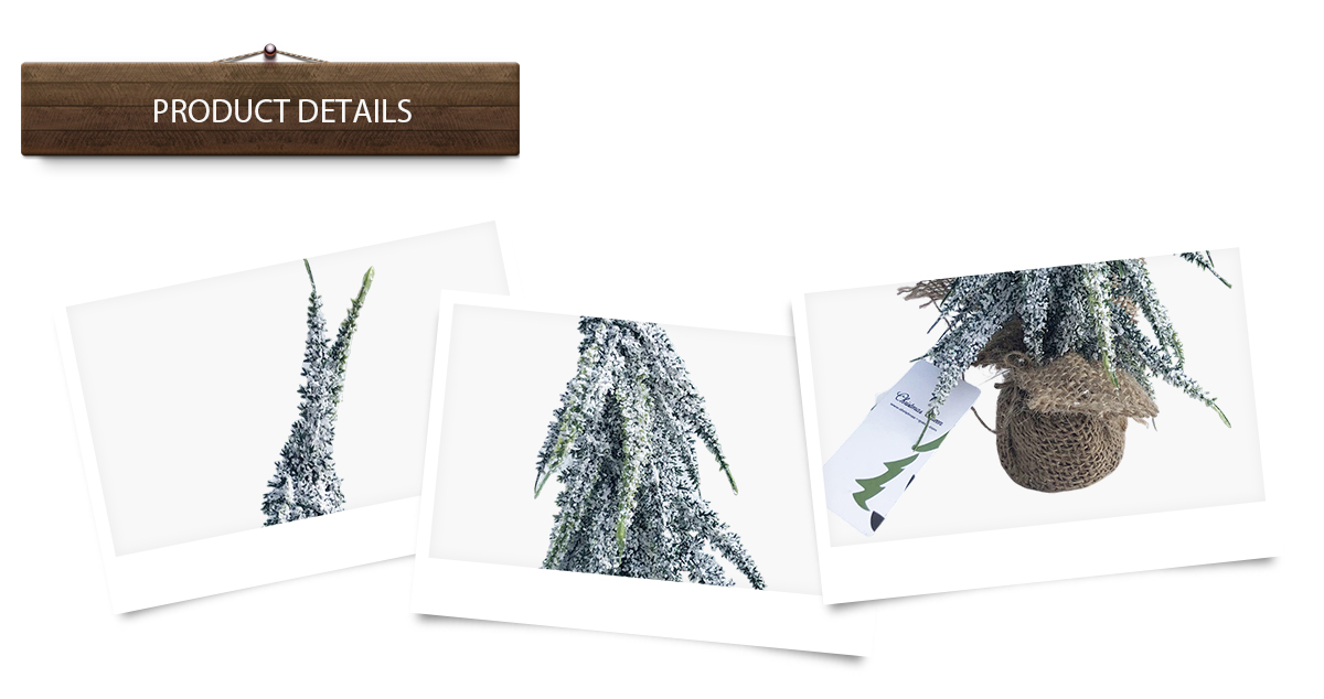 Sapin De Noël Blanc Et Argent Sapin De Noël Blanc Et Argent