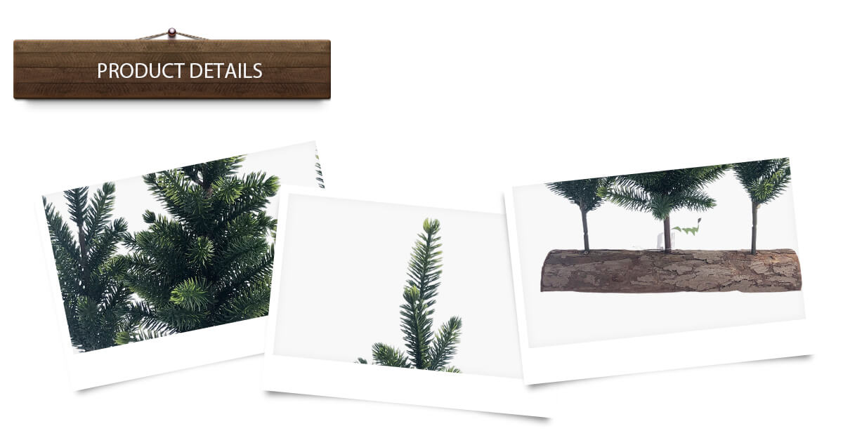 1728351634511843.jpg 详情页(1)-恢复的_02 (1).jpg