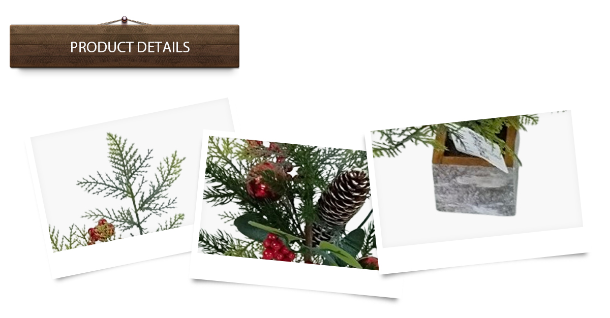 Рождественская елка Рождественская елка