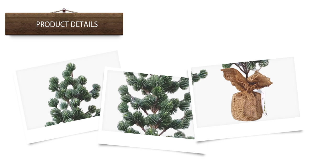 árbol de Navidad árbol de Navidad