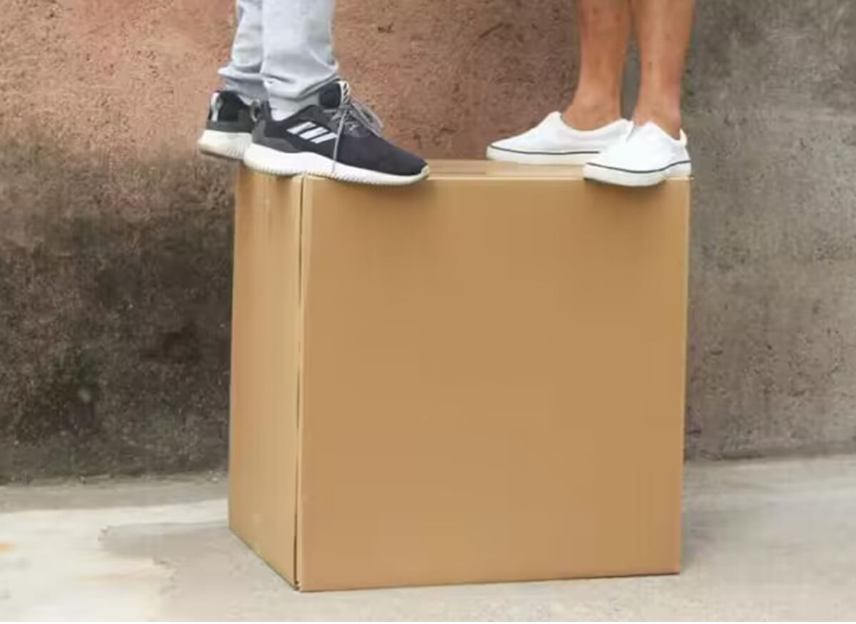 Árbol de Navidad único