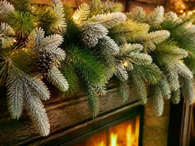 China Black Friday Christmas Tree Deals Need Layered Branches