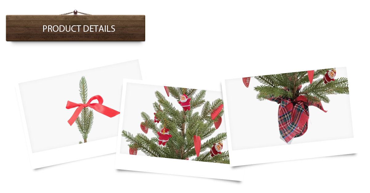 Árbol de Navidad Árbol de Navidad