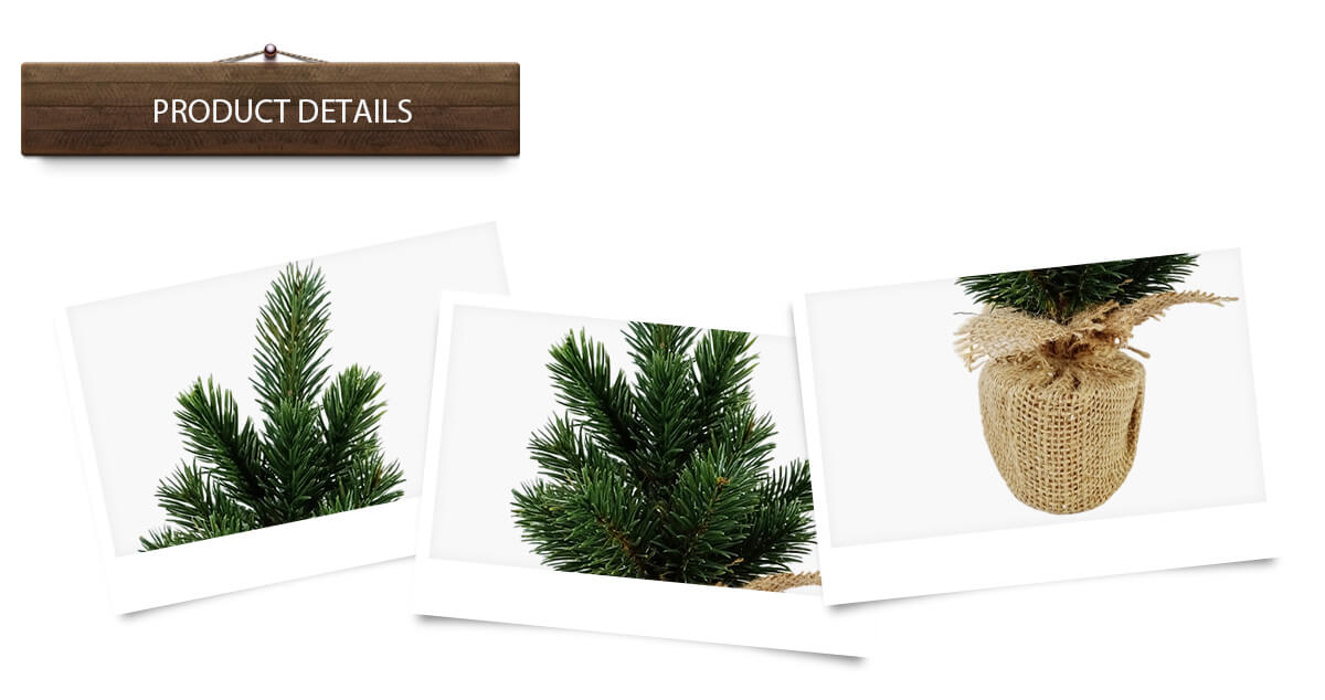 Рождественская елка Рождественская елка