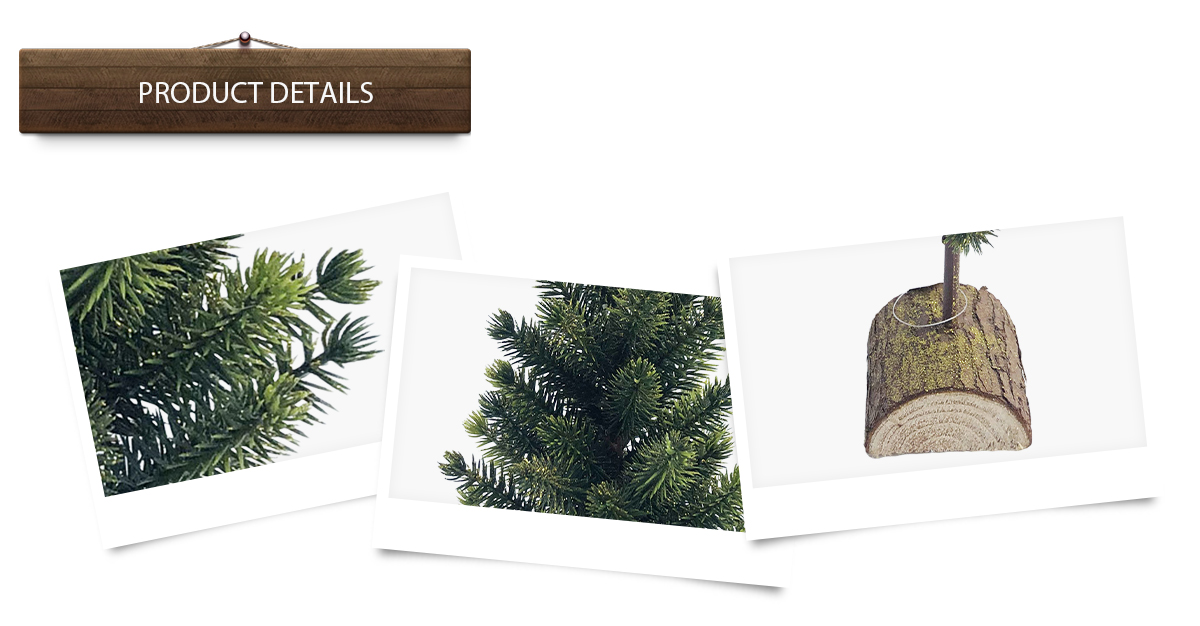 Arbres de Noël Arbres de Noël