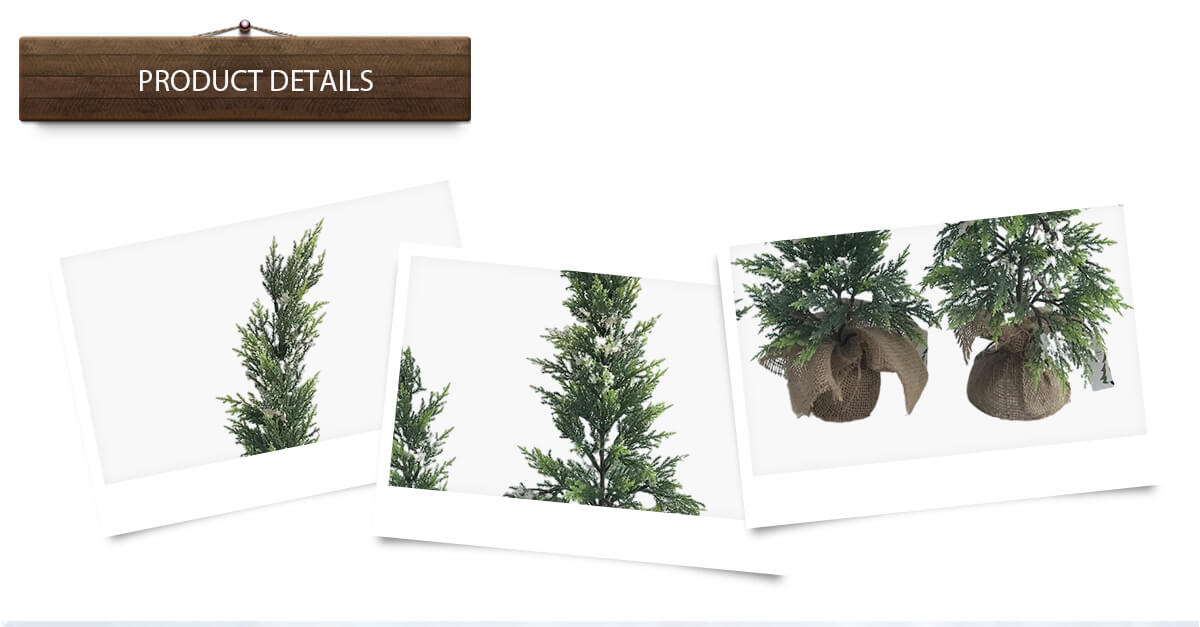 Árbol de Navidad Árbol de Navidad