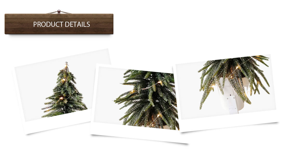 Рождественская елка Рождественская елка