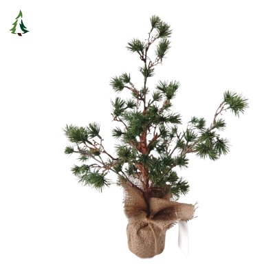 Árbol de Navidad indígena