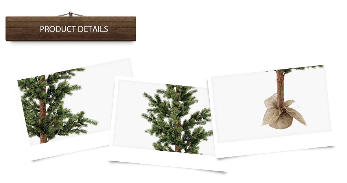 árbol de Navidad árbol de Navidad