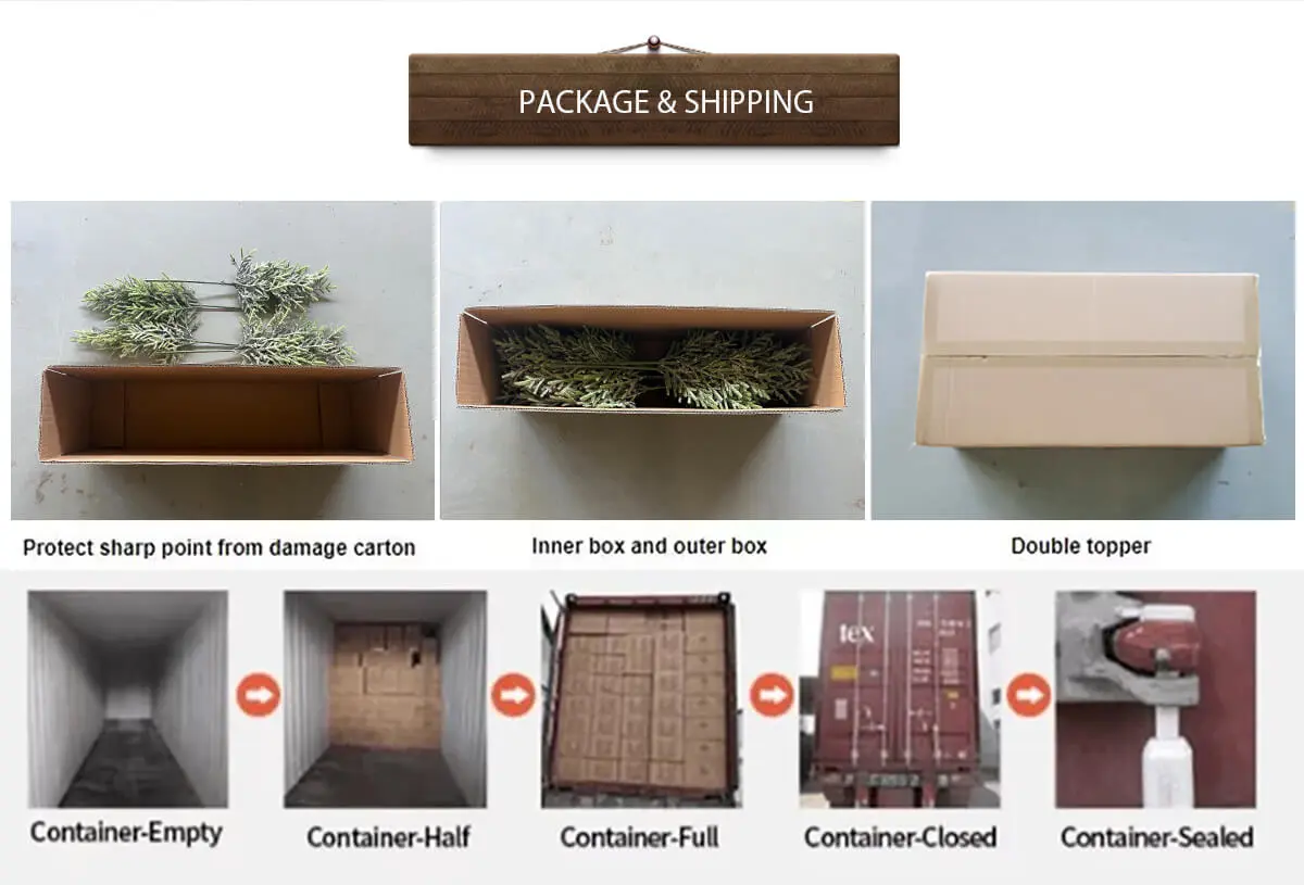 Weihnachtszweig Weihnachtszweig