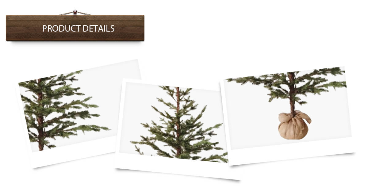 Рождественская елка PE Рождественская елка PE