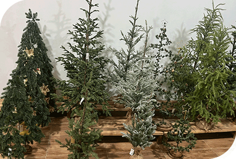 Nous proposons également un design sur votre demande.