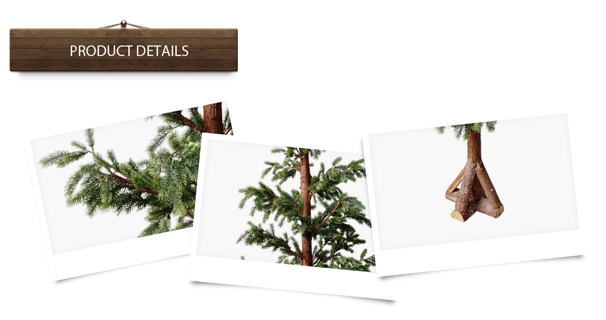 arbre de Noël arbre de Noël