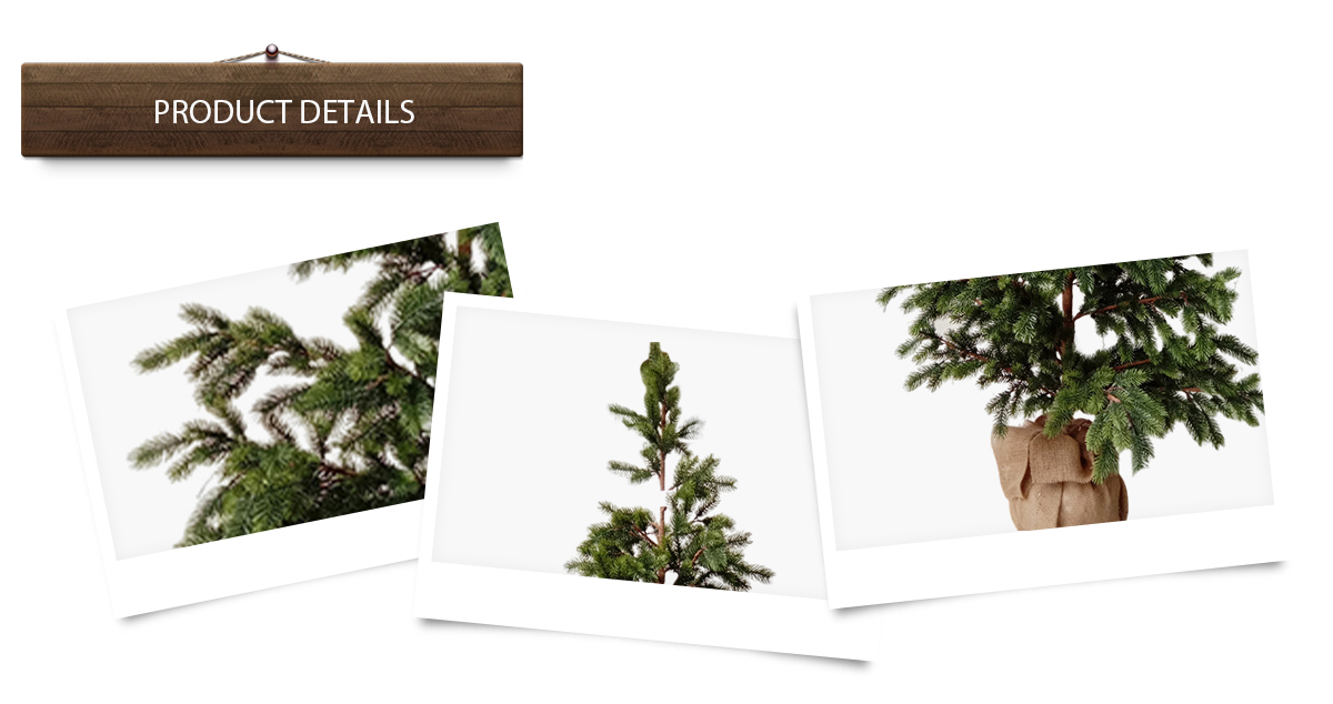 arbre de Noël arbre de Noël