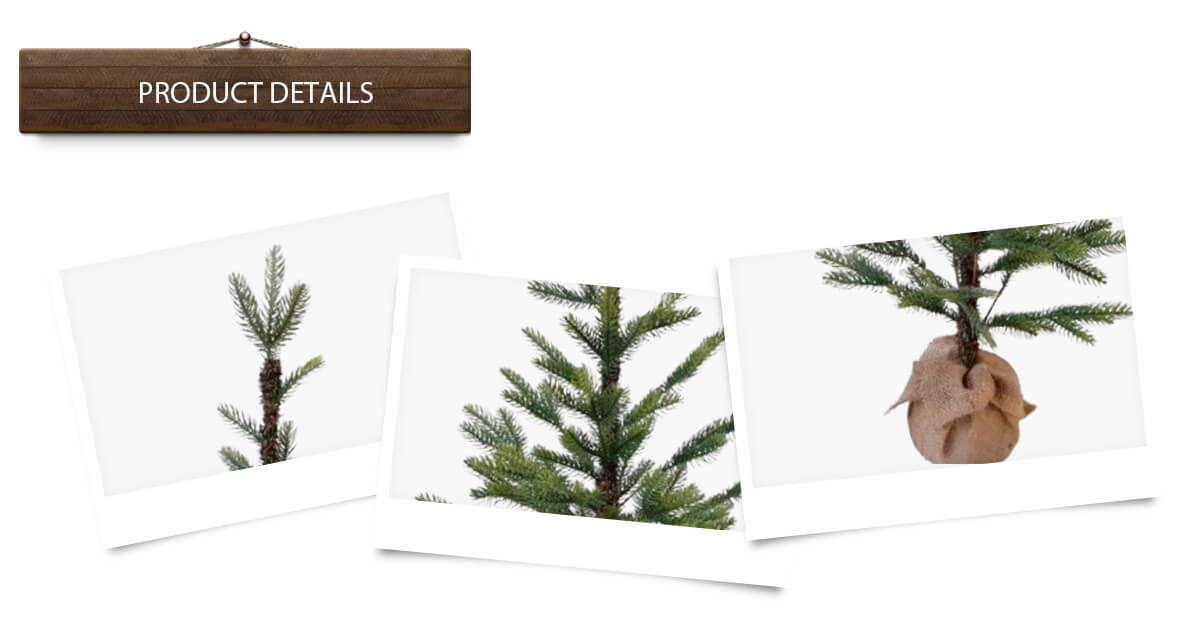 Рождественская елка