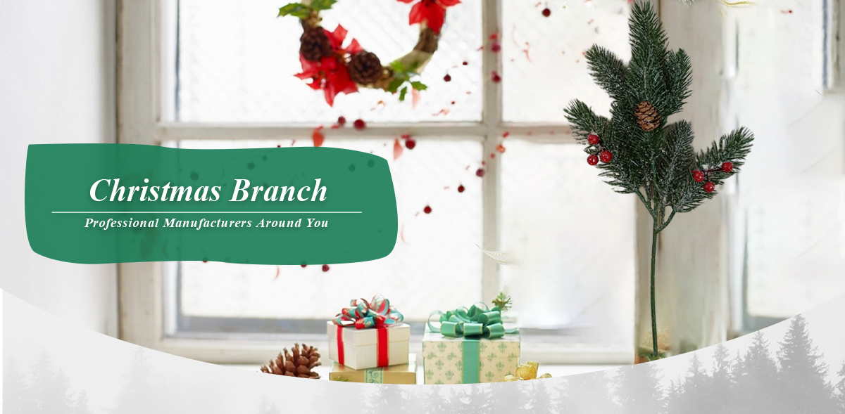 Branches de faux pins Branches de faux pins