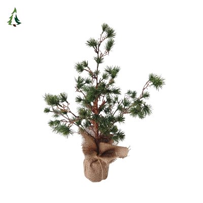 Arbre de Noël en pot