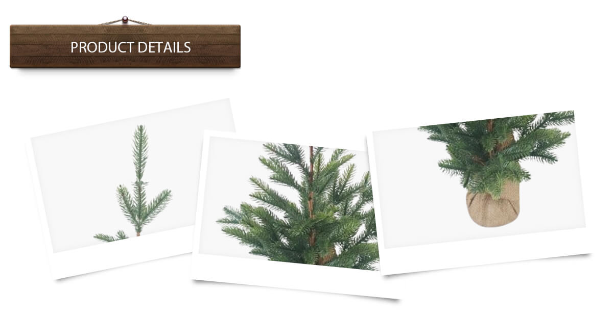 Grand sapin de Noël Grand sapin de Noël