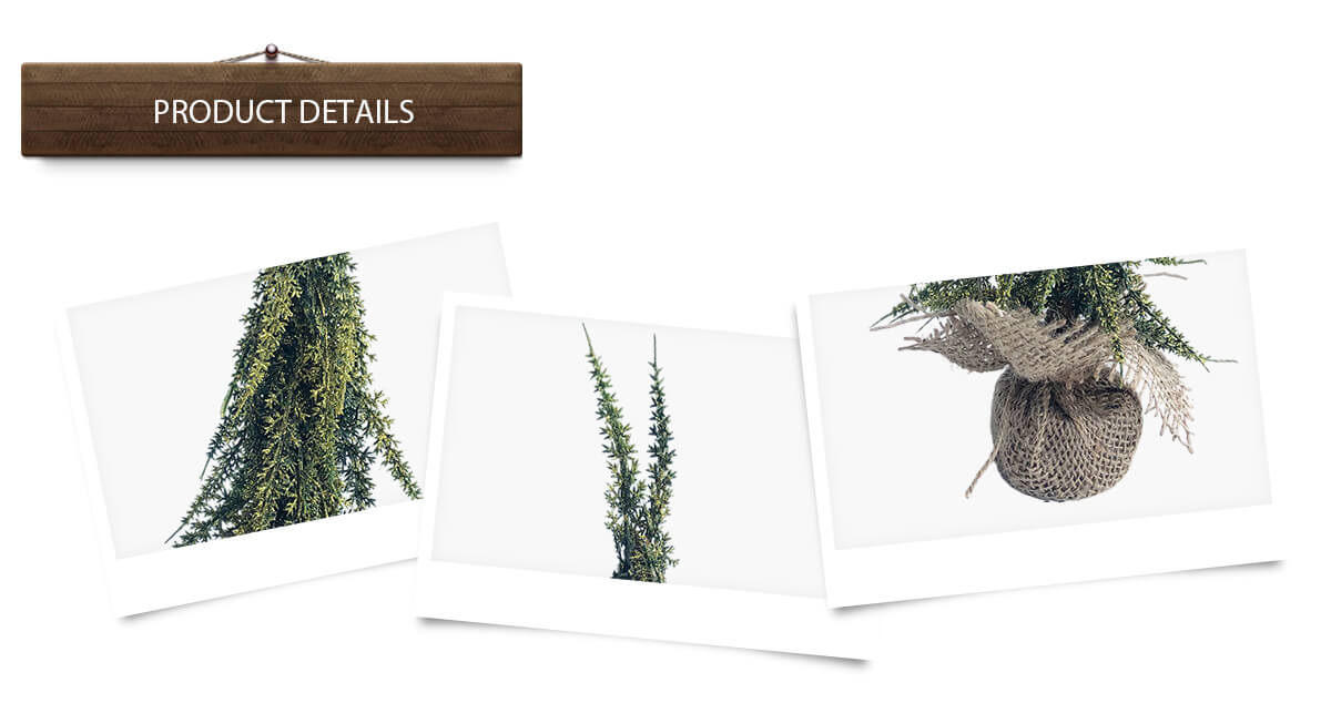 Árbol de Navidad Árbol de Navidad