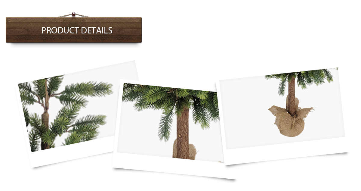 Рождественская елка Рождественская елка