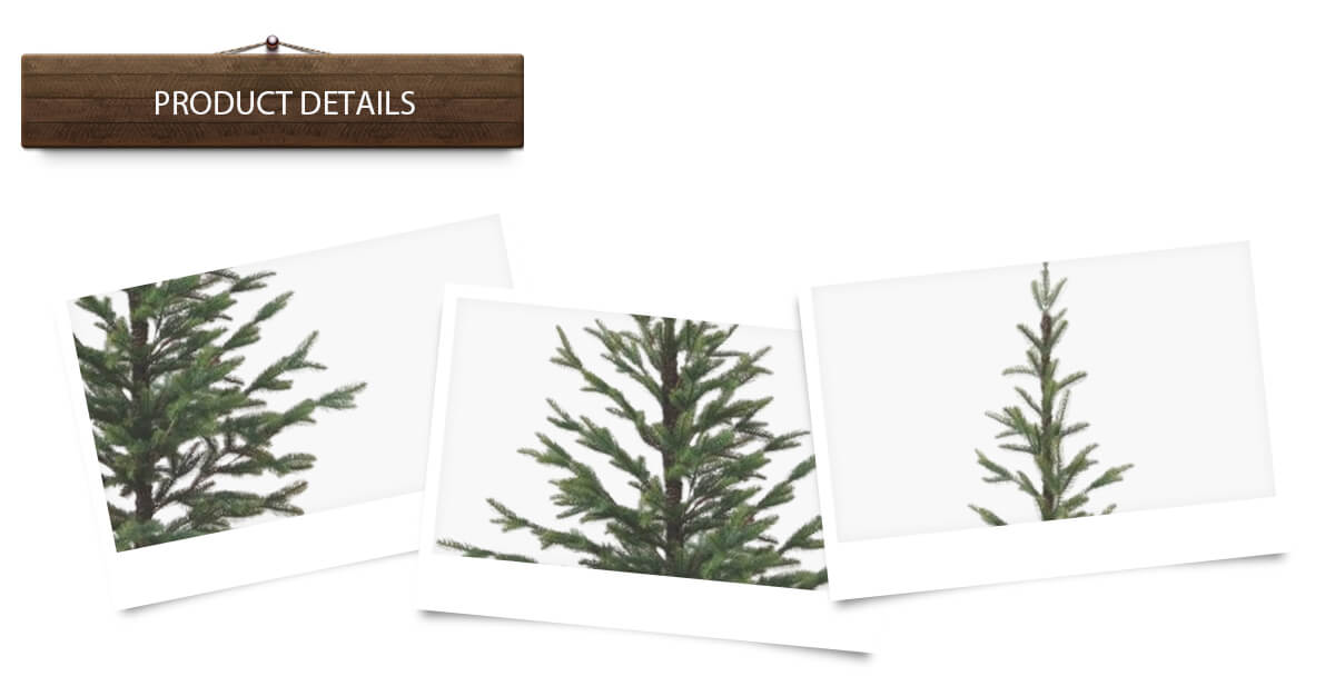 Студия Рождественских Елок