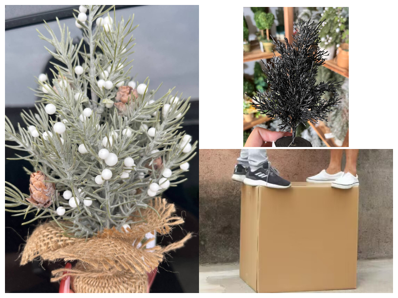 Ветви деревьев Ветви деревьев