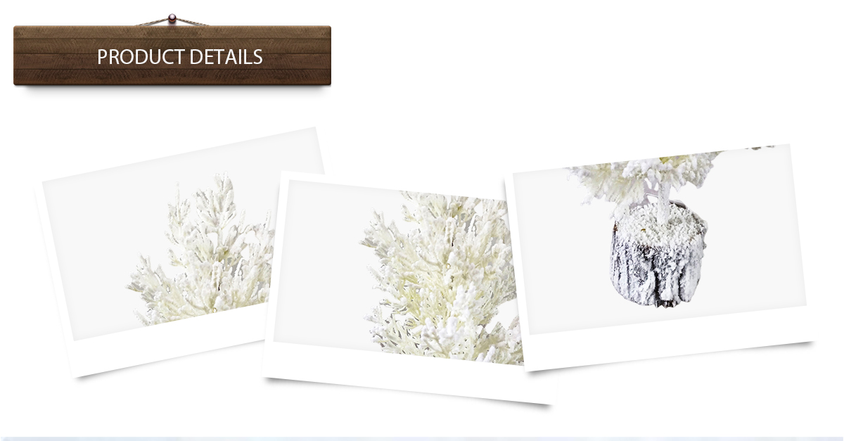 Маленькая живая елка Маленькая живая елка