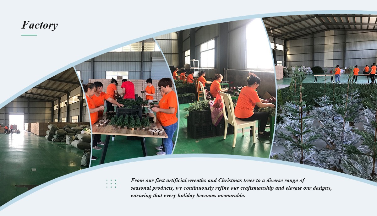 Christmas Queen Factory