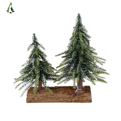 Véritable sapin de Noël Asda