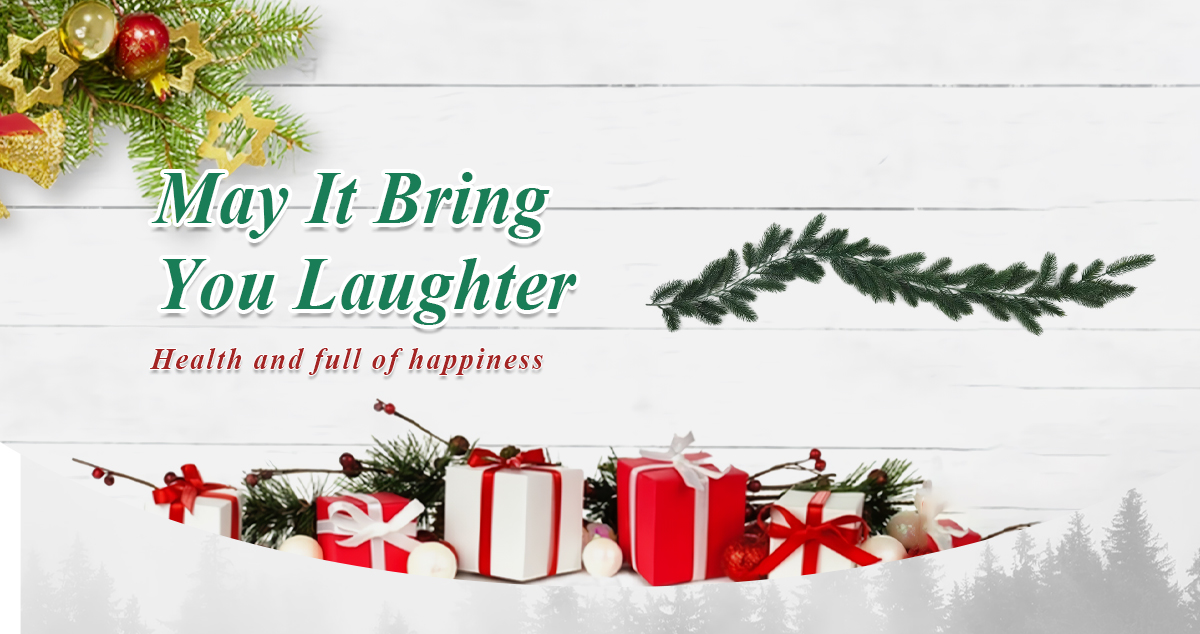 Guirnalda Navideña Natural Guirnalda Navideña Natural