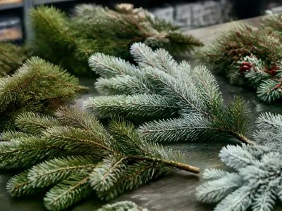 Realistic Pine Branches Manufacture Begins Under Cover
