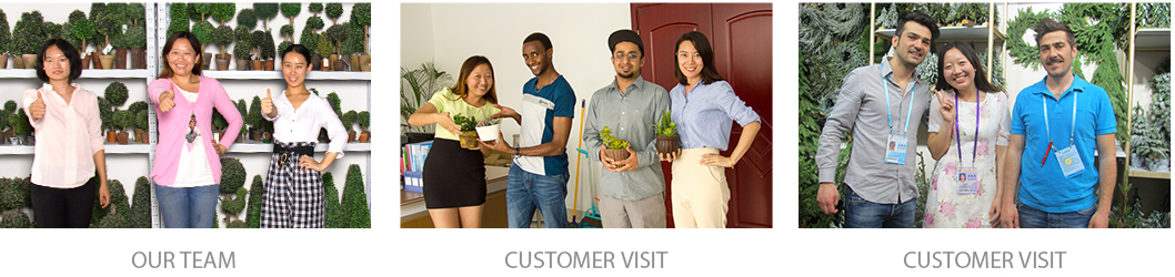 Arbre de Noël Arbre de Noël