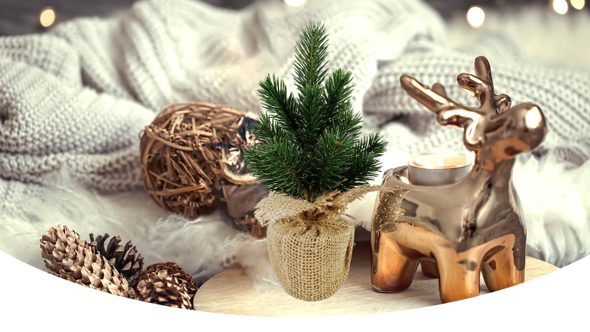 Рождественская елка Рождественская елка