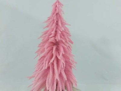 Les échantillons de vacances sont arrivés