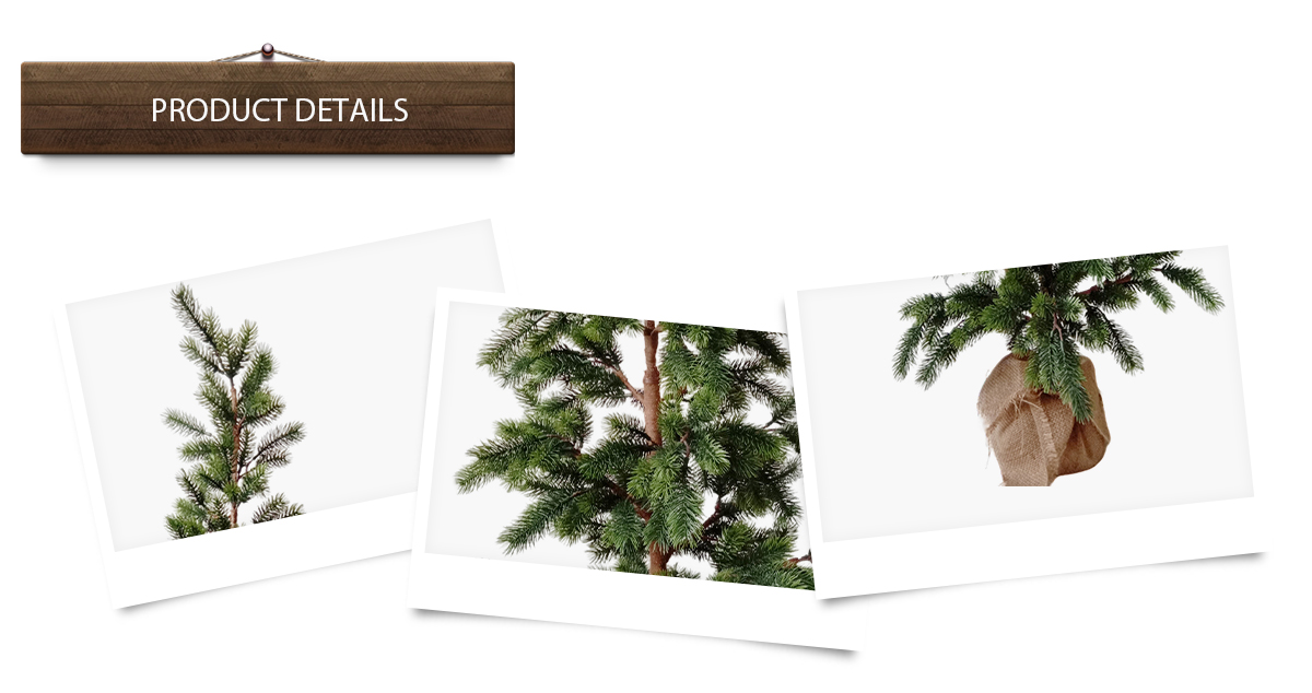 Рождественская елка