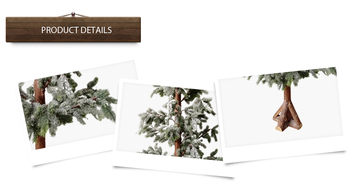 arbre de Noël arbre de Noël