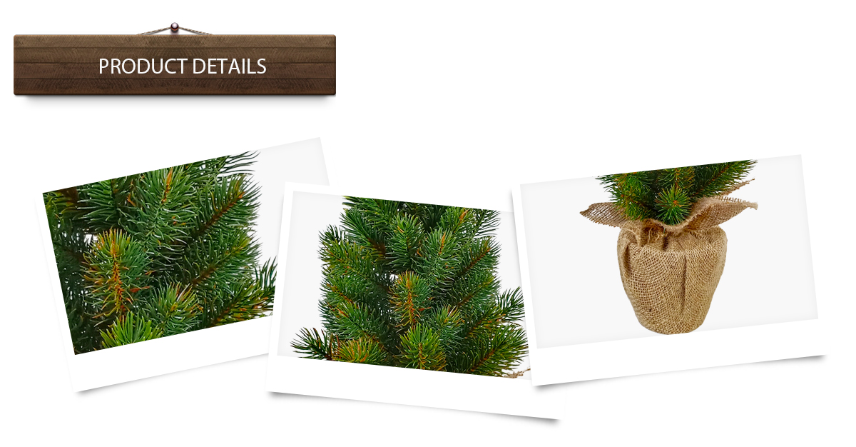 Arboles De Navidad Arboles De Navidad