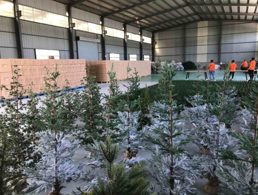 Tendances mondiales en matière de décoration de fête et d'innovation