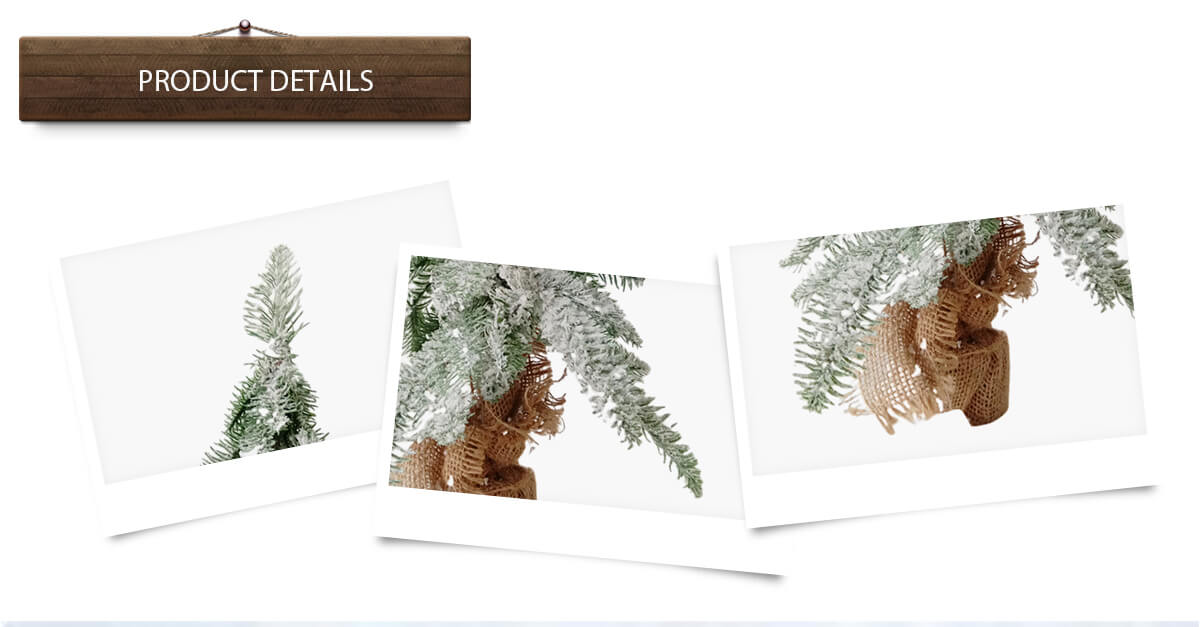 Рождественская елка Рождественская елка