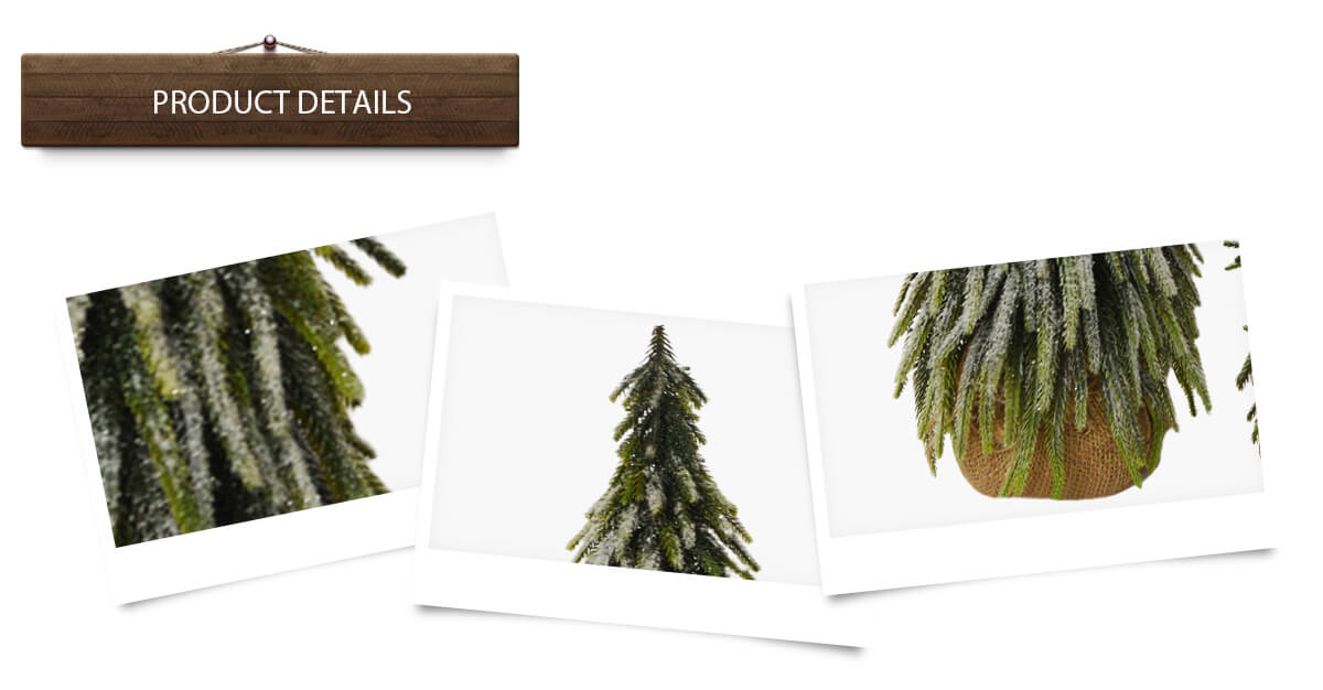 Рождественская елка Рождественская елка