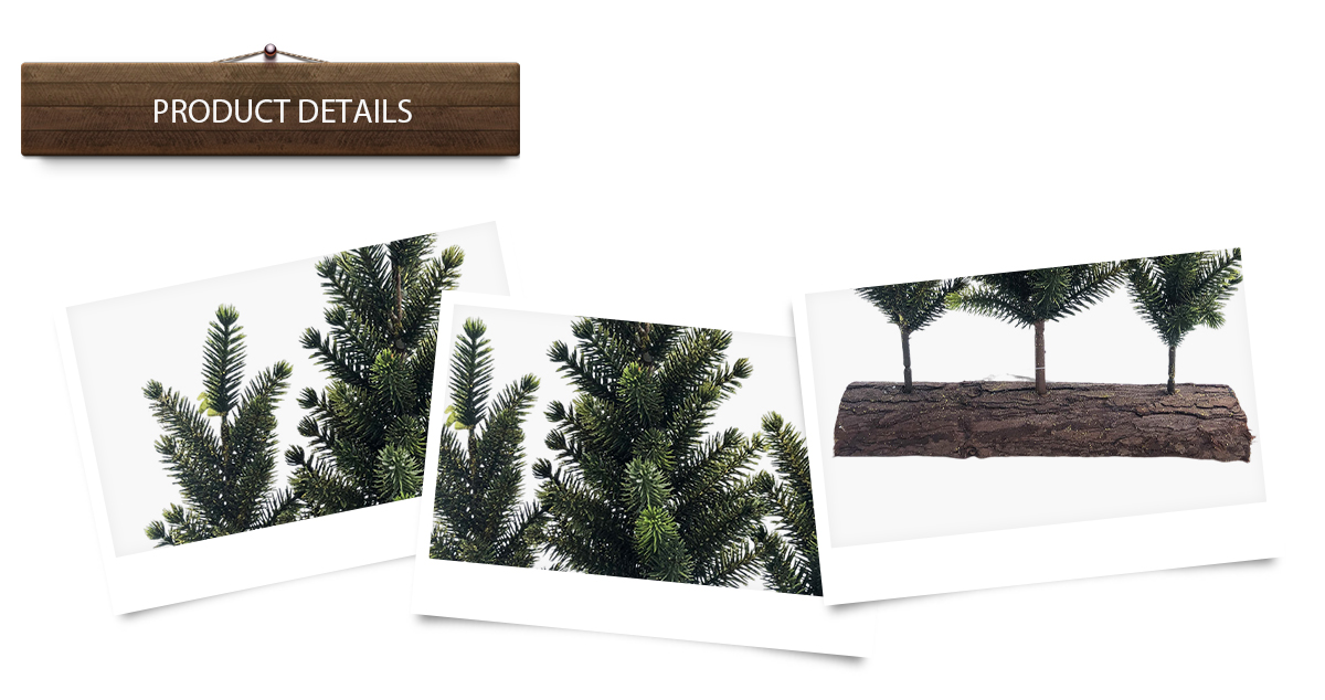 1728359929131062.jpg 详情页(1)-恢复的_02.jpg