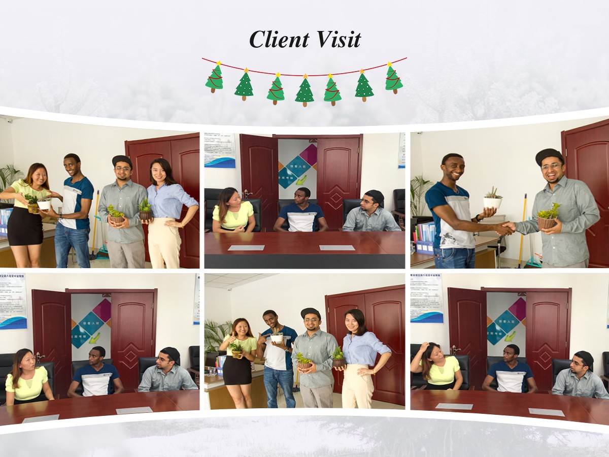 Визит клиента Рождественской королевы