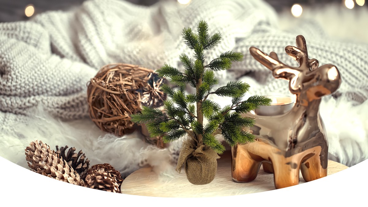 Рождественская елка Рождественская елка