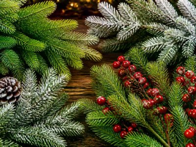 Approve China Decorative Christmas Tree Branches With Photo Checks