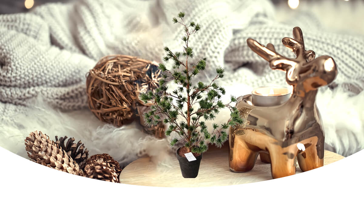 Рождественская елка Рождественская елка