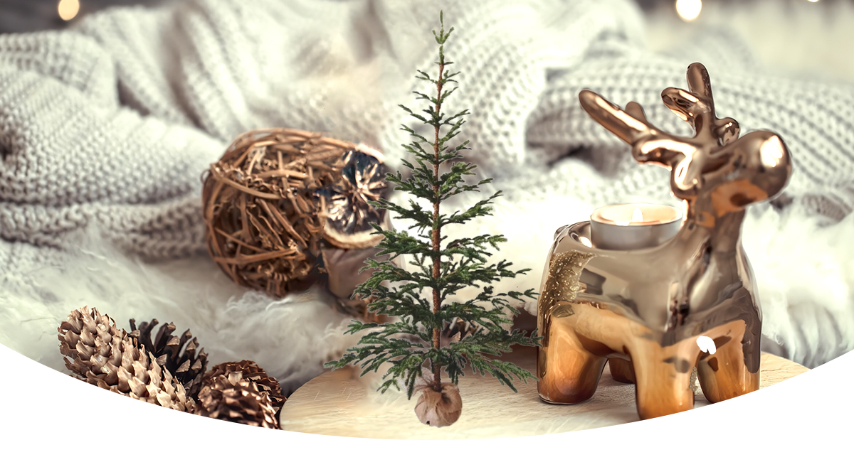 Рождественская елка Рождественская елка